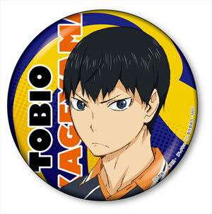 楽天市場 アイアップ ハイキュー スタンドコレクション 影山飛雄 バストアップ ラナ 価格比較 商品価格ナビ