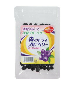 楽天市場 森川健康堂 森川健康堂 森のドライブルーベリー 100g 価格比較 商品価格ナビ