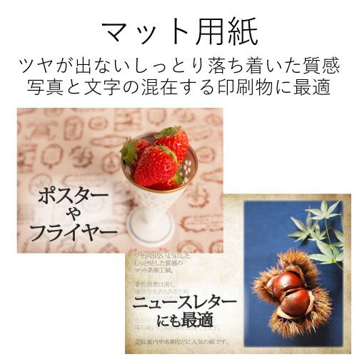 エレコム スーパーファイン紙 高画質用 特厚 両面 A4 EJK-SRTPA420(20枚入)
