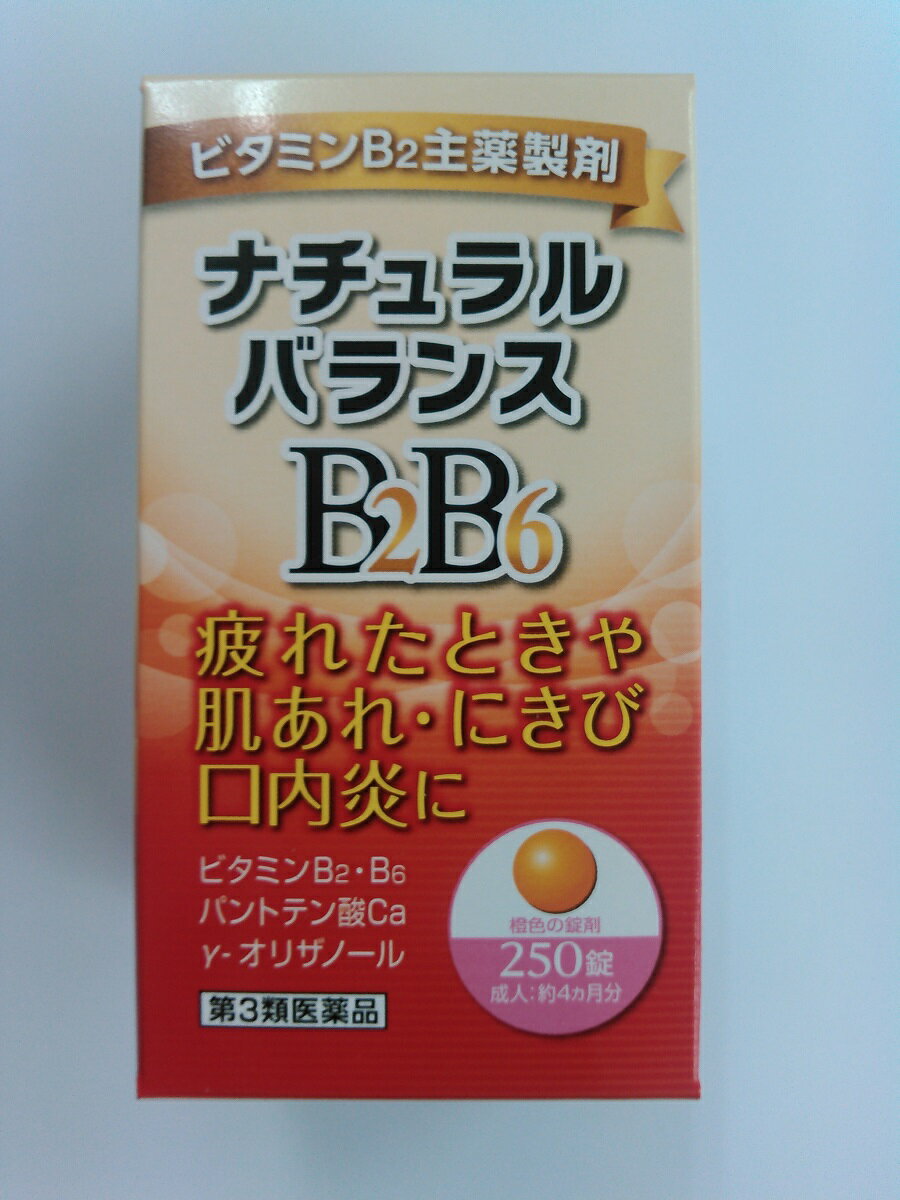 楽天市場】皇漢堂製薬 ネオビタBBプラス「クニヒロ」 250錠 | 価格比較 - 商品価格ナビ