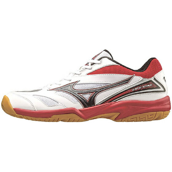 mizuno wave gate