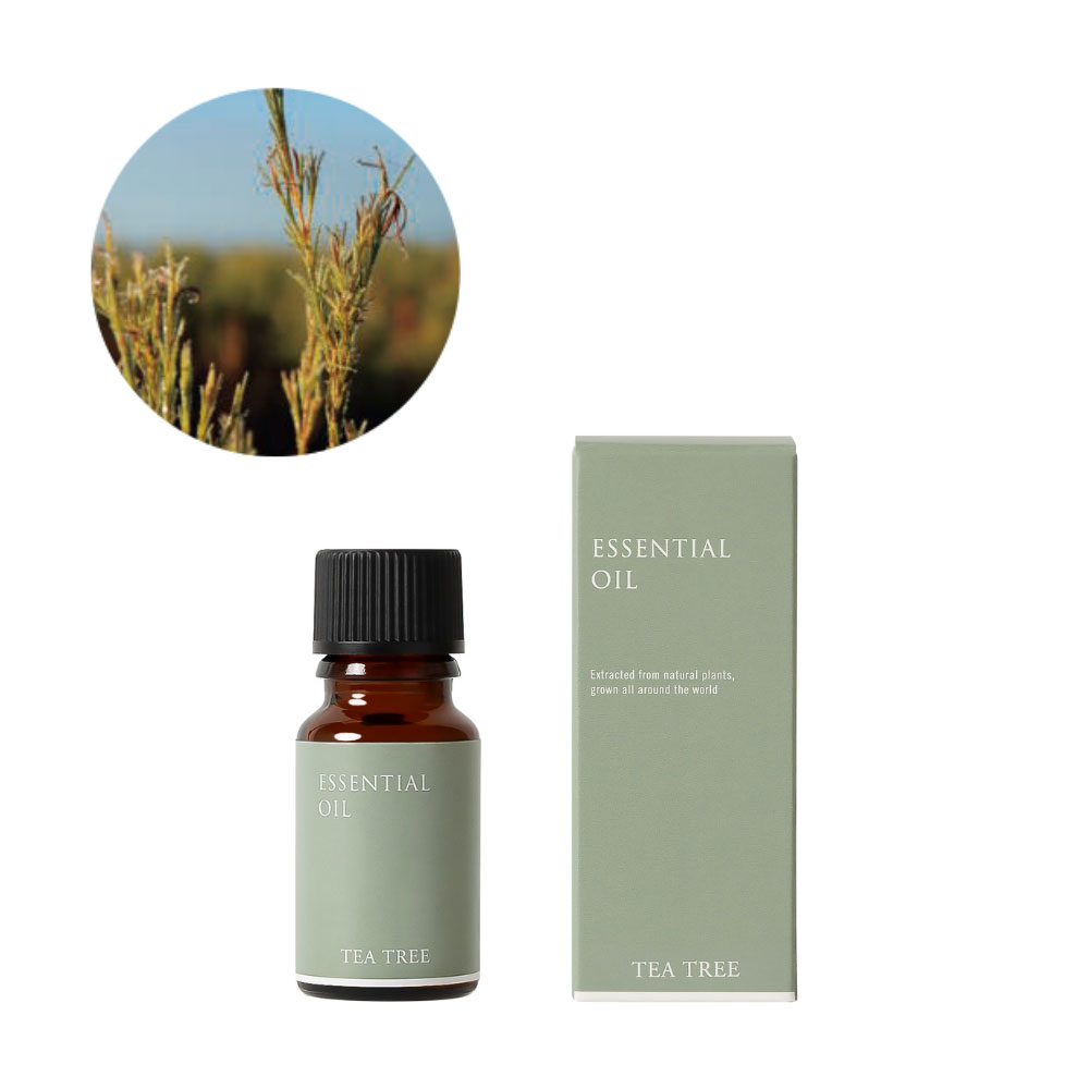 生活の木 精油 ティートゥリー 10ml
