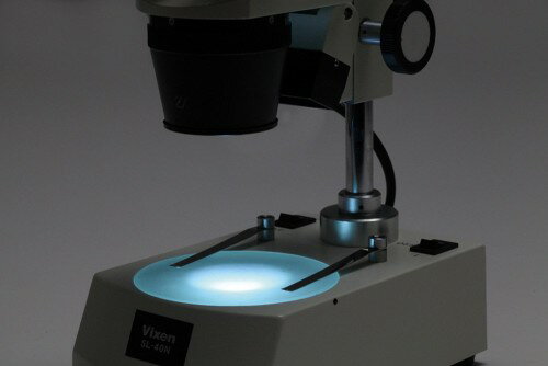 ビクセン 実体顕微鏡 SL40N