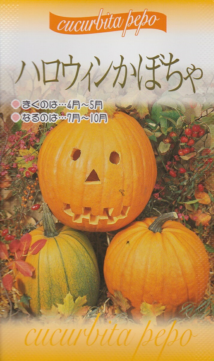 楽天市場 福花園種苗 フクカエンハロウィンかぼちゃの種 価格比較 商品価格ナビ