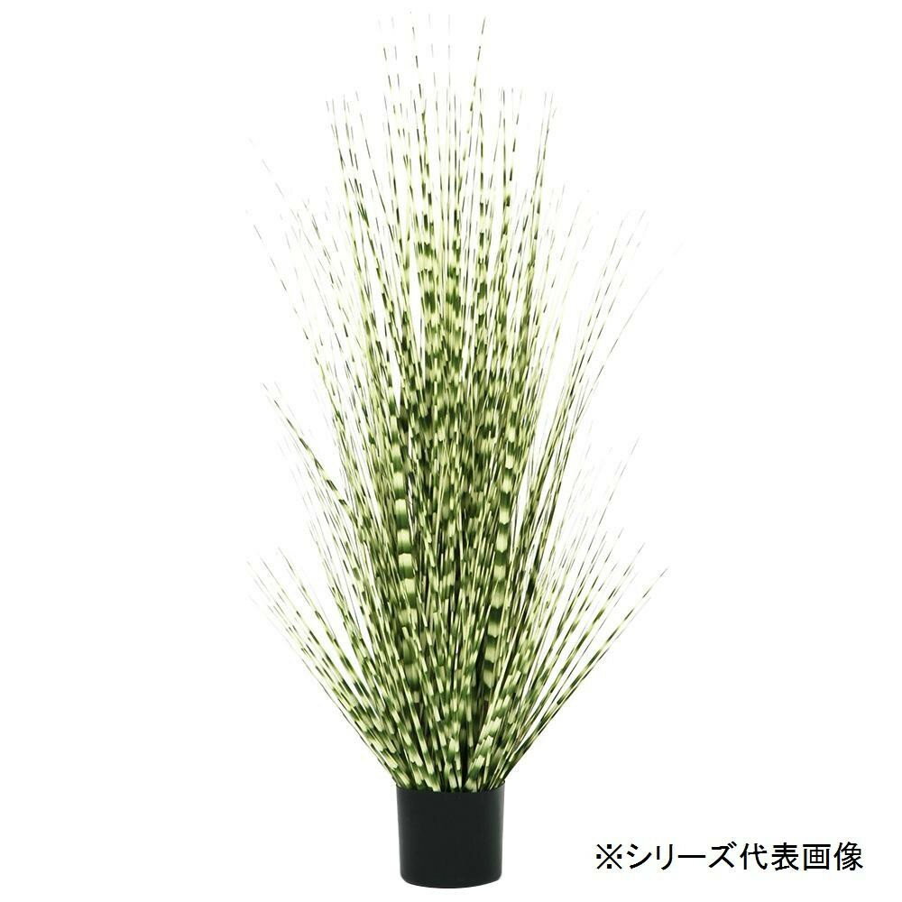 楽天市場 萩原 萩原 人工観葉植物 ゼブラグラス L 約140cm 価格比較 商品価格ナビ