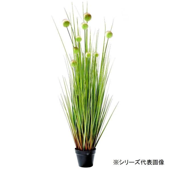 楽天市場 萩原 ハギハラ 人工観葉植物 ボールグラス 月見草 S 95 価格比較 商品価格ナビ