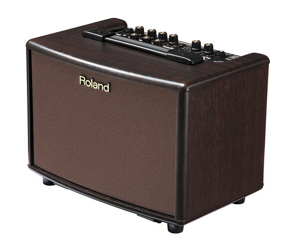 楽天市場】ローランド AC-33-RW ローランド 30Wアコースティックギター 