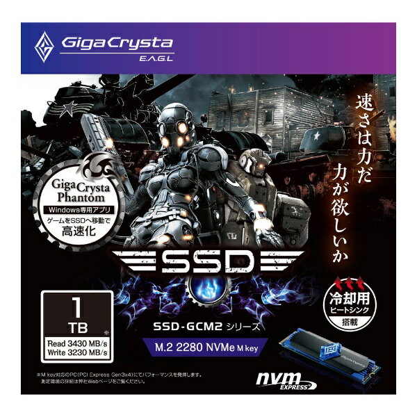 21 新作 Nvme E A G L Gigacrysta I Oデータ Ssd Gc1tm2 M 2 Ssd Gcm2シリーズ 1 0tb Ssd 内蔵ドライブ ストレージ Williamsav Com