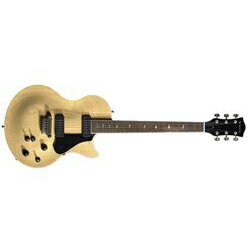 楽天市場】コルグ VOX SSC-55 VC(Vintage Cream) | 価格比較