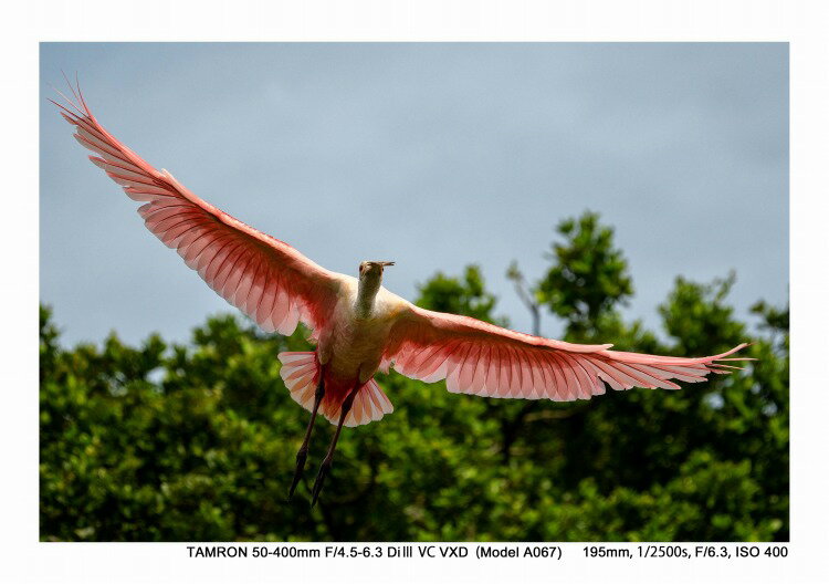 TAMRON ソニーE用 カメラレンズ 50-400F4.5-6.3 DI III VC VXD A067