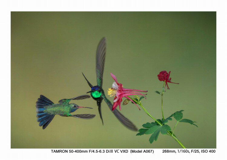 TAMRON ソニーE用 カメラレンズ 50-400F4.5-6.3 DI III VC VXD A067