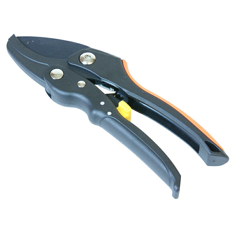 楽天市場 浅香工業 浅香工業 Fg アシスト機能付 剪定鋏 Dx 価格比較 商品価格ナビ