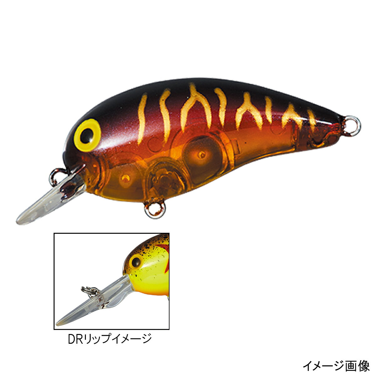 楽天市場 グローブライド ダイワ タイニーピーナッツ Dr Cレッドタイガー Daiwa Tiny Peanut 価格比較 商品価格ナビ