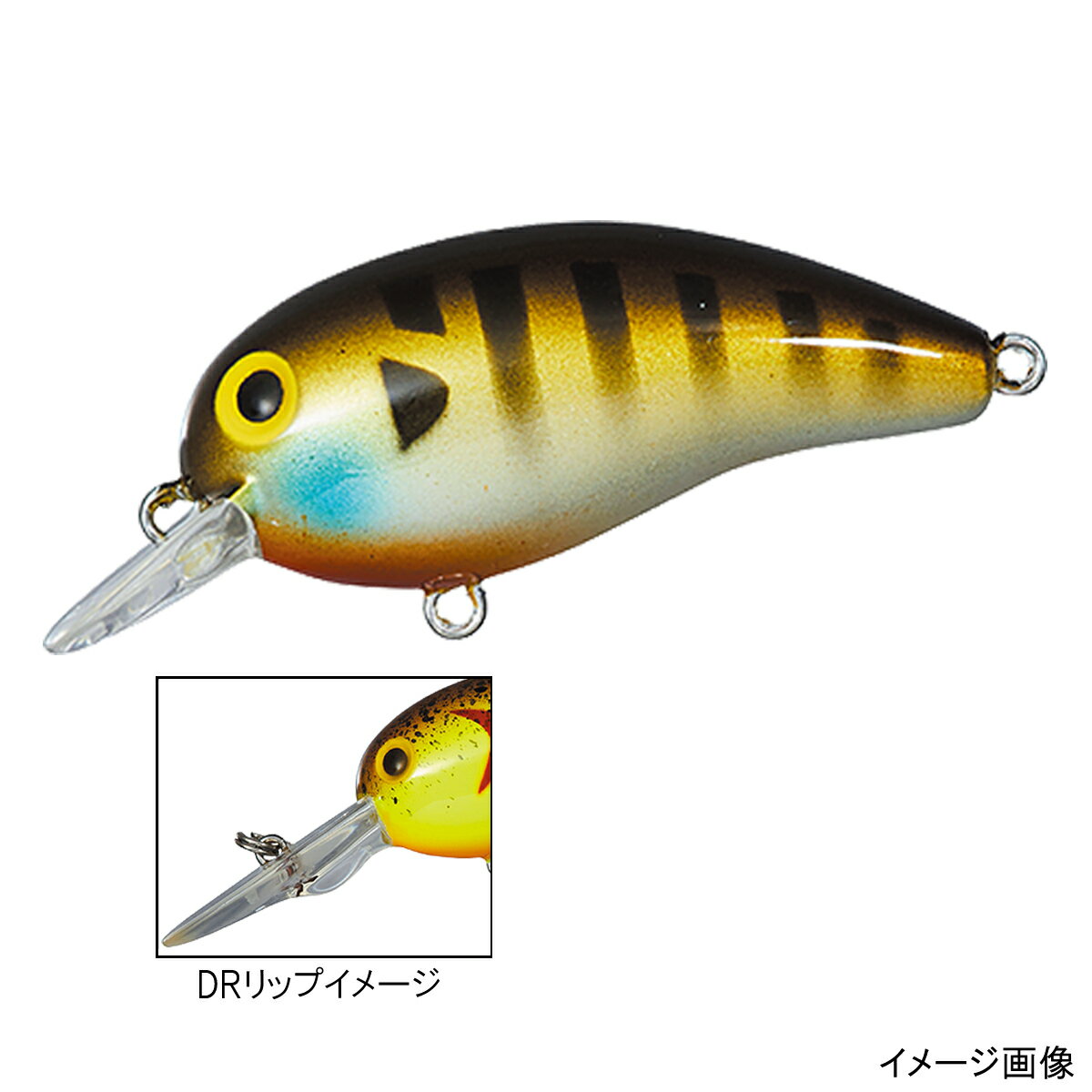 楽天市場 グローブライド ダイワ タイニーピーナッツ Dr ポンドギル Daiwa Tiny Peanut 価格比較 商品価格ナビ