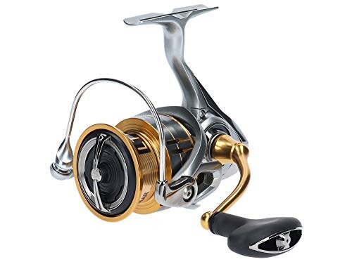 ダイワ(Daiwa) 18フリームス LT5000D-CXH 00057057｜アウトドア