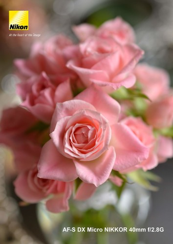 Nikon  DXフォーマット用標準マクロ レンズ AF-S DX MICRO40F2.8G