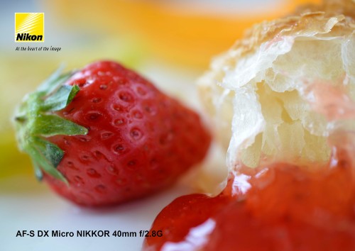 Nikon  DXフォーマット用標準マクロ レンズ AF-S DX MICRO40F2.8G