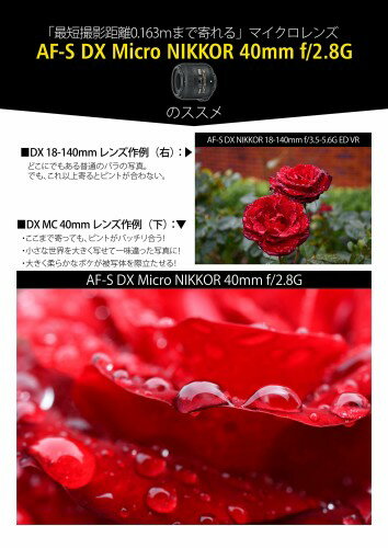 【楽天市場】ニコン Nikon DXフォーマット用標準マクロ レンズ AF-S DX MICRO40F2.8G | 価格比較 - 商品価格ナビ
