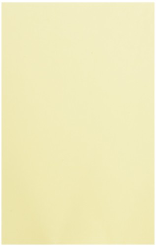 NAGATOYA カラーペーパー特厚口A4 レモン ナ-3402