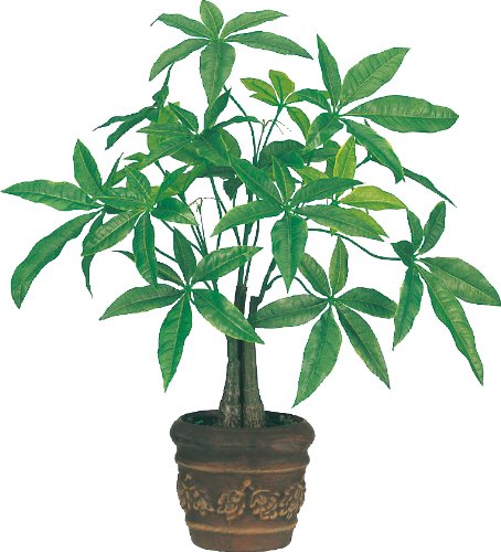 楽天市場 ポピー ポピー 観葉植物の造花 パキラポット 価格比較 商品価格ナビ