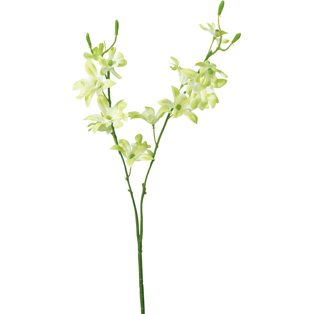現品限り一斉値下げ！】 造花 YDM オンシジューム ホワイト FFH-0002-W 造花 花材「あ行」 オンシジューム 通販 