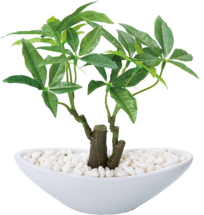 楽天市場 ポピー ポピー 観葉植物の造花 パキラポット S 価格比較 商品価格ナビ