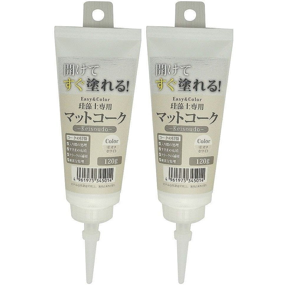 楽天市場】ワンウィル ワンウィル 3793060025 Easy&Color専用アンダー ...