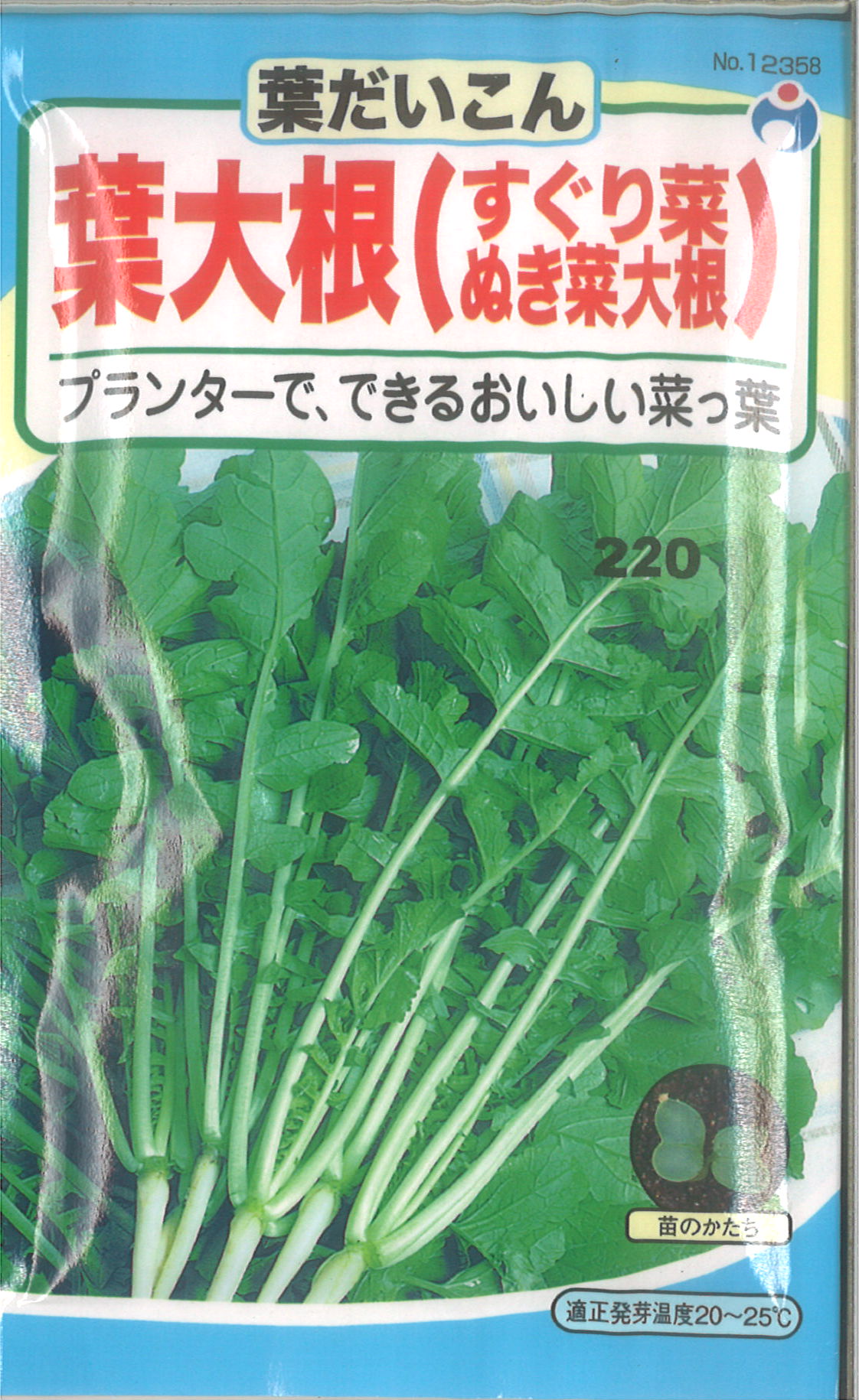 市場 グリーンフィールド ロロロッサ レタス 野菜有機種子 リーフ