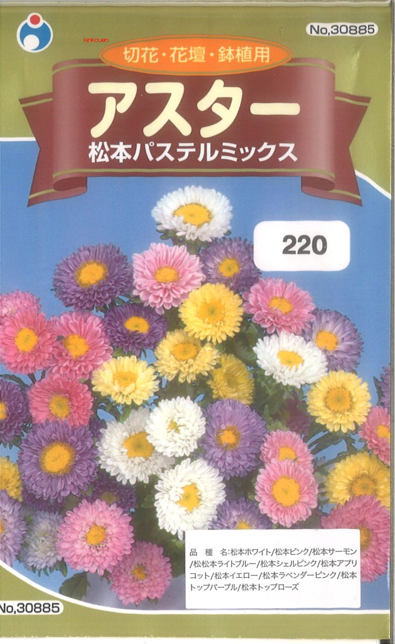 市場 サカタのタネ 花絵の具 ミックスフラワーガーデン 実咲花5901