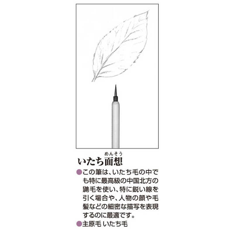akashiya/あかしや いたち面想 小 PN-19