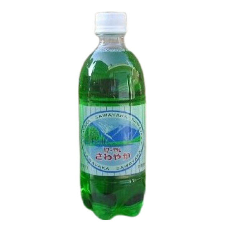 人気TOP 伊藤園 スタイリースパークリング PET 500ml×48本 24本×2ケース qdtek.vn