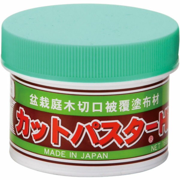 56%OFF!】 2601カットパスターペースト 50g Cut paste 盆栽道具