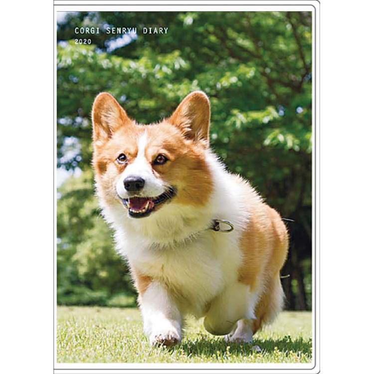 楽天市場 アートプリントジヤパン コーギー犬川柳 手帳 マンスリー 年 手帳 B6 価格比較 商品価格ナビ