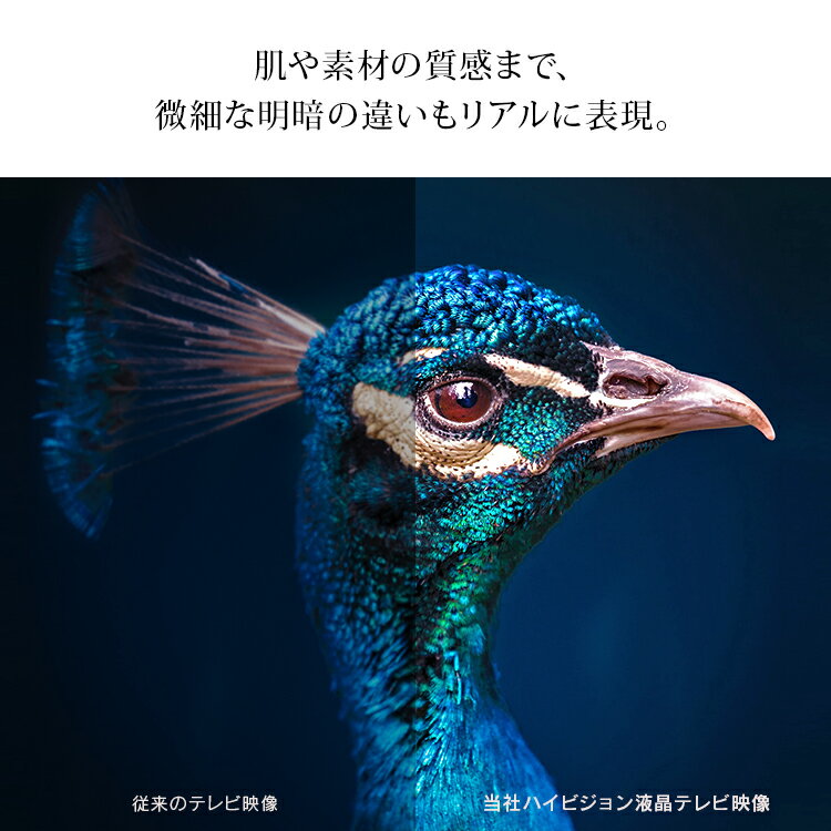 アイリスオーヤマ 液晶テレビ 24インチ ブラック 24WB10