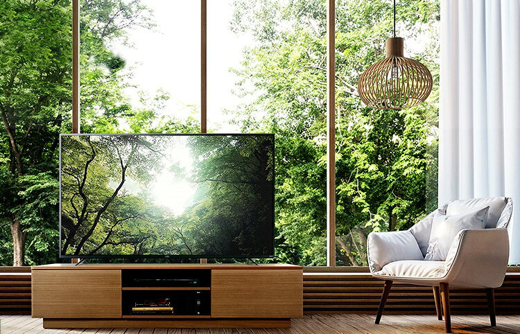 【完動品】アイリスオーヤマ 液晶テレビ 50XUB30 LUCA（アイリスオーヤマ） 50XUB30 アイリスオーヤマ 50V型 4K