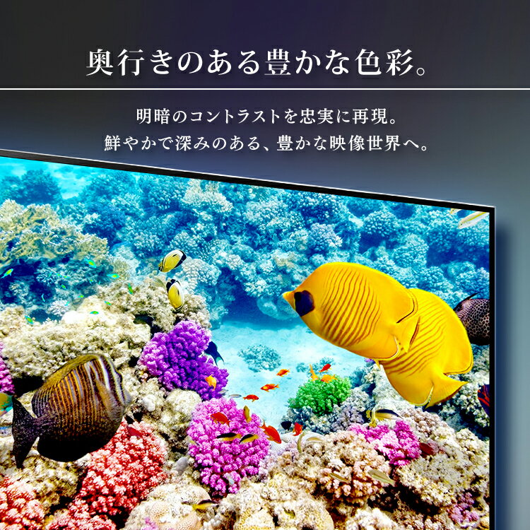 アイリスオーヤマ　LUCA　50型液晶テレビ 50XUB30　2020年製 より自然で鮮やかな映像を実現した4Kチューナー内蔵液晶テレビ