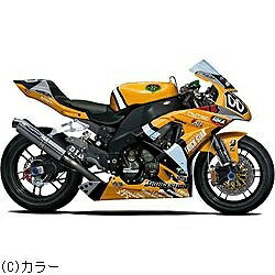 エヴァRT 弐号機 トリックスター FRTR Kawasaki ZX-10R 2011
