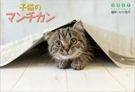 楽天市場 トライエックス トライエックス 21カレンダー 子猫のマンチカン 価格比較 商品価格ナビ