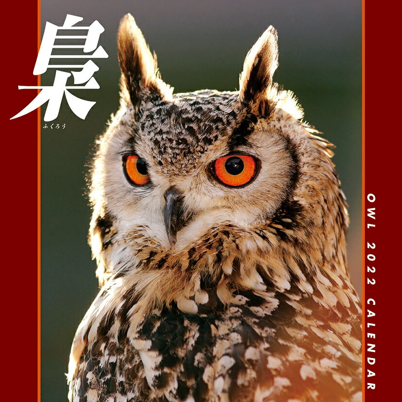 楽天市場】ブライエンタープライズ 壁掛け 2022年 カレンダー MAGIC OWLS フクロウ TUSHITA アニマル 写真 インテリア 令和4年暦  | 価格比較 - 商品価格ナビ