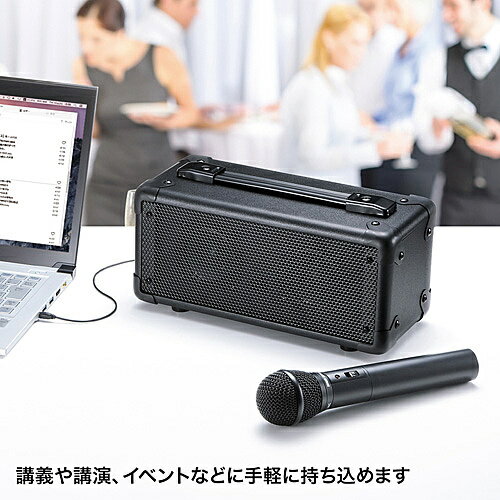 SANWA SUPPLY 拡声器スピーカー MM-SPAMP4