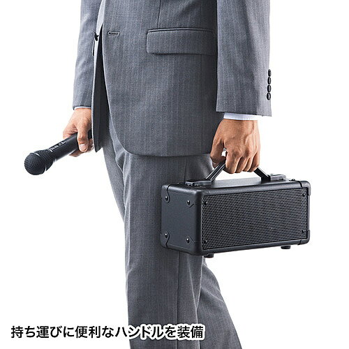 SANWA SUPPLY 拡声器スピーカー MM-SPAMP4