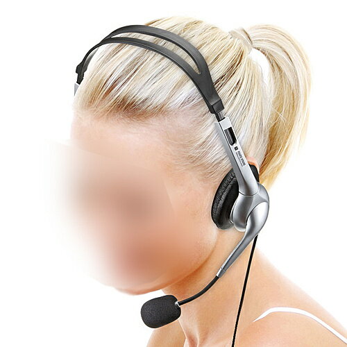 マルチメディアPCヘッドセット MM-HS507NCN(1コ入)