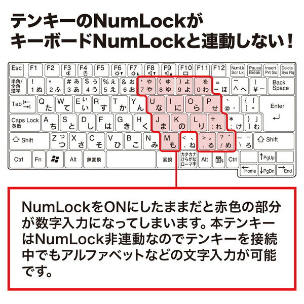 サンワサプライ Bluetoothテンキー NT-BT21BK