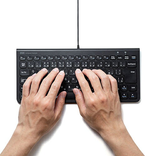 サンワサプライ USBスリムキーボード SKB-SL32BK