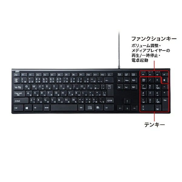 SANWA SUPPLY USBスリムキーボード SKB-SL33BK