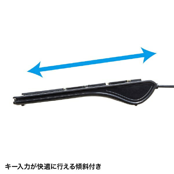 SANWA SUPPLY USBスリムキーボード SKB-SL33BK