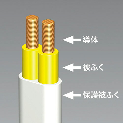 火災予防安全タップ TAP-TSH610N(1コ入)