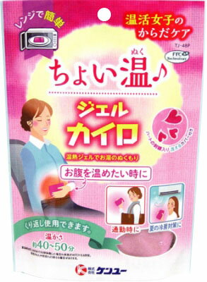 楽天市場 小林製薬 命の母カイロ 貼るタイプ 10コ入 価格比較 商品価格ナビ