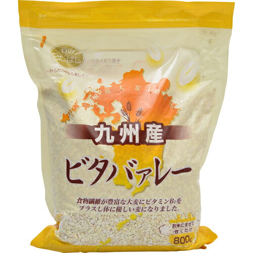 楽天市場 石橋工業 石橋工業 九州ビタバァレー 800g 価格比較 商品価格ナビ