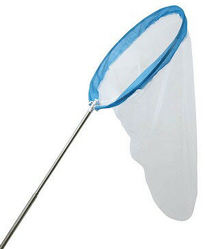 昆虫博士 Amazon | KOROKORO博士 昆虫標本マグネットコレクション 全9種